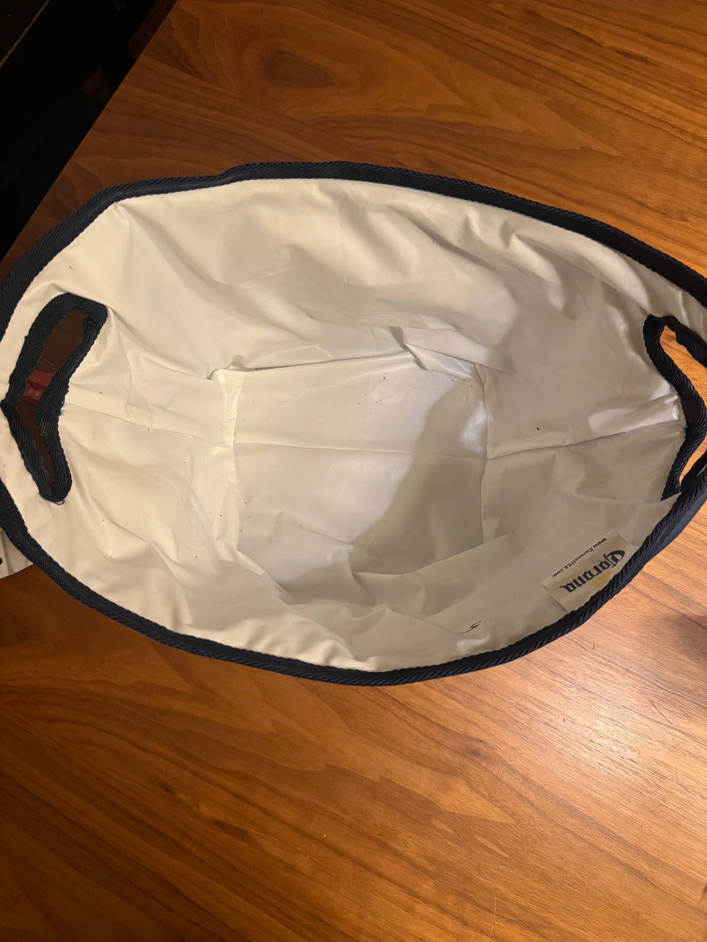 Corona Extra Insulated Cooler Bag